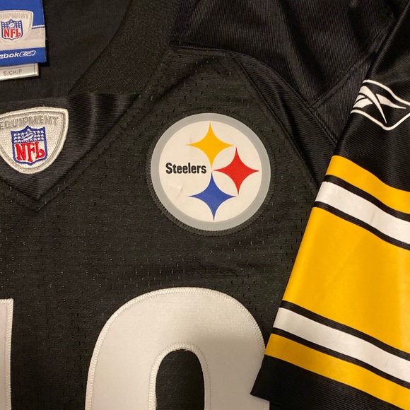 Polamalu Jersey - Picture 4 of 5